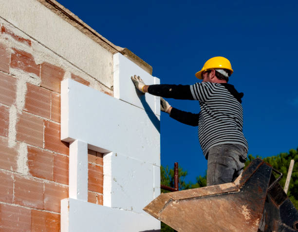 Best Energy-efficient Insulation  in Canton, NC