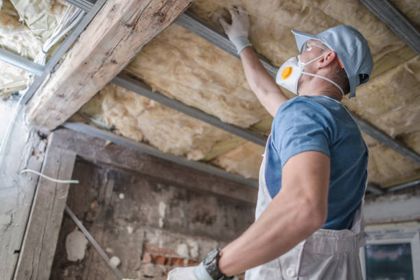 Best Attic Insulation Installation  in Canton, NC
