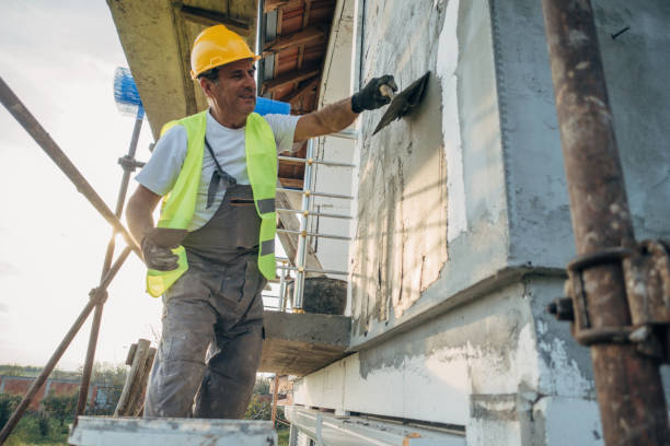 Best Cellulose Insulation  in Canton, NC