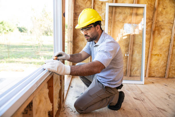Best Insulation Contractor Near Me  in Canton, NC