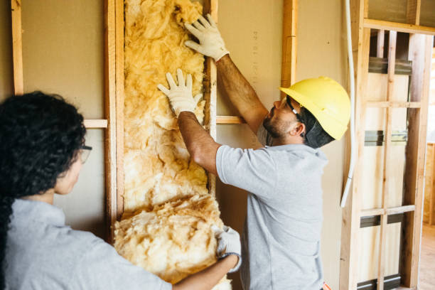 Best Professional Insulation Contractor  in Canton, NC