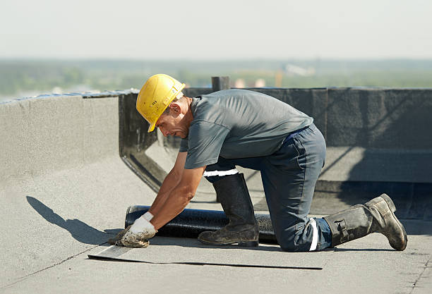 Best Insulation Inspection Services  in Canton, NC