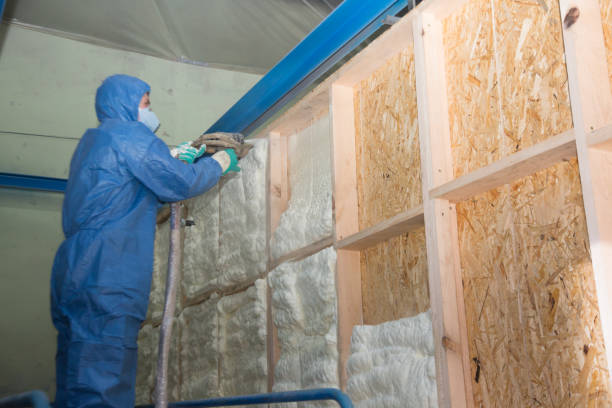Best Local Insulation Services  in Canton, NC