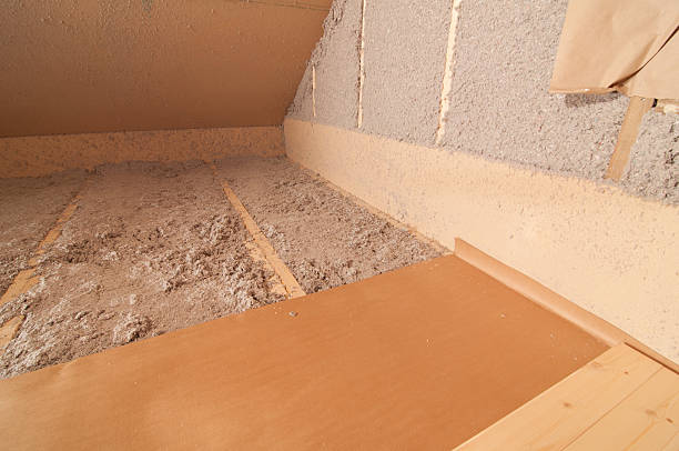 Best Best Insulation Companies  in Canton, NC